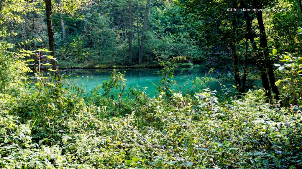 Die Rhumequelle im Eichsfeld